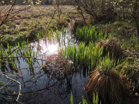 Knobleharjevo 2012 - Fotografski natečaj Občine Škocjan 2012 9